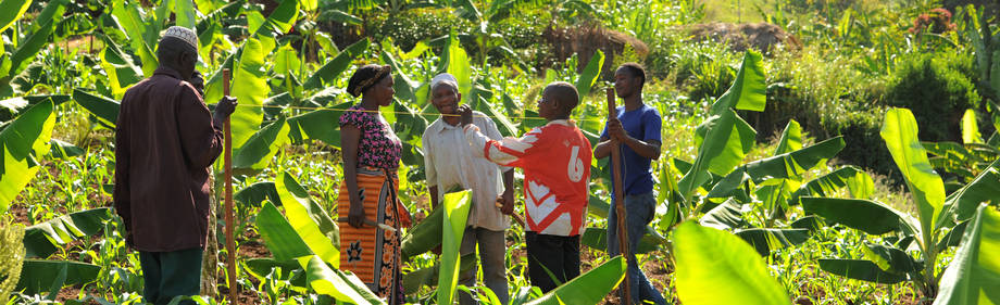 Conservation Agriculture